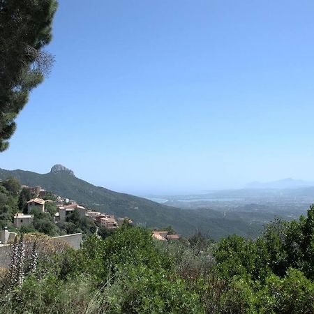 Montecolcau Panoramic View Apartment Baunei Bagian luar foto