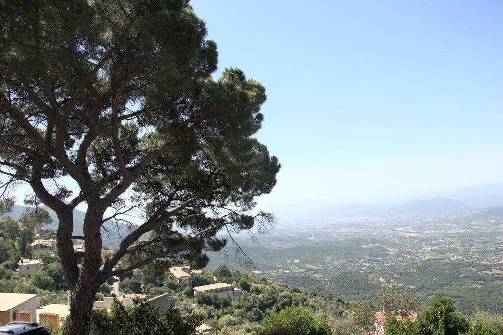 Montecolcau Panoramic View Apartment Baunei Bagian luar foto